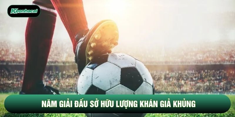 Năm giải đấu sở hữu lượng khán giả khủng Năm giải đấu sở hữu lượng khán giả khủng